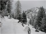 Sedlo Mokrine - planina Biffil 